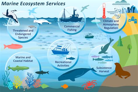 Ecosystem Services Generated by Fish Populations .